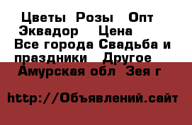 Цветы. Розы.  Опт.  Эквадор. › Цена ­ 50 - Все города Свадьба и праздники » Другое   . Амурская обл.,Зея г.